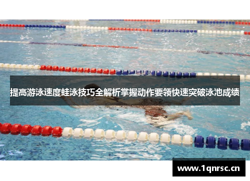 提高游泳速度蛙泳技巧全解析掌握动作要领快速突破泳池成绩