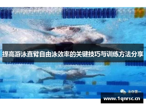 提高游泳直臂自由泳效率的关键技巧与训练方法分享