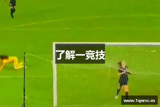了解一竞技